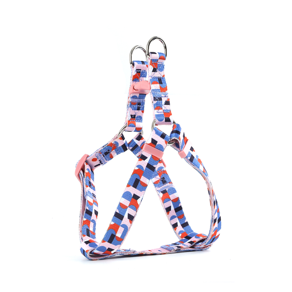 LDDP – Arnés Personalizado Para Perros Pequeños, 5 Unidades, Collar